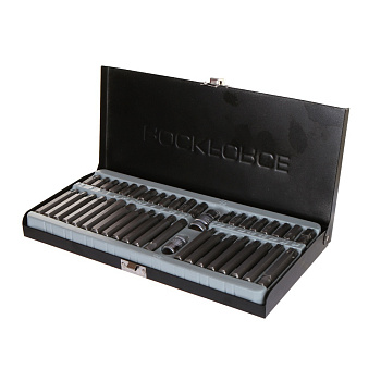 Набор бит с битодержателями, 42 предмета (10мм)(75/30мм: T20-T60, H4-H12, M5-M12),мет кейс RF-4421