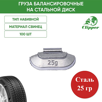 0225 Грузик сталь 25г (100шт/уп)