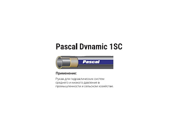 Pascal Dynamic 1SC DN19