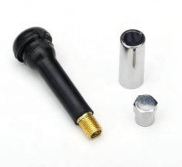 TR418 Вентиль для бескамерной шины купить в Новосибирске - Google Chrome