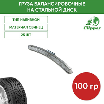 02100 Грузик сталь 100г (25шт/уп)