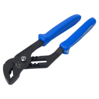 d5dcb3d1d338ab04a27cc361da9a2271